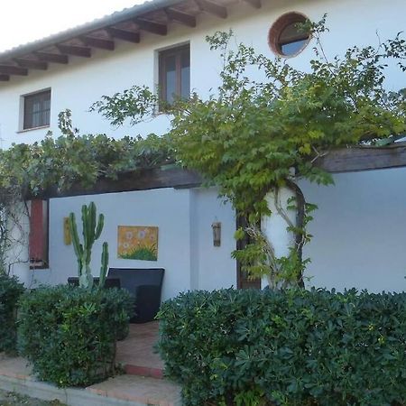 Villa Cortijo Con Encanto Cullera Exterior foto