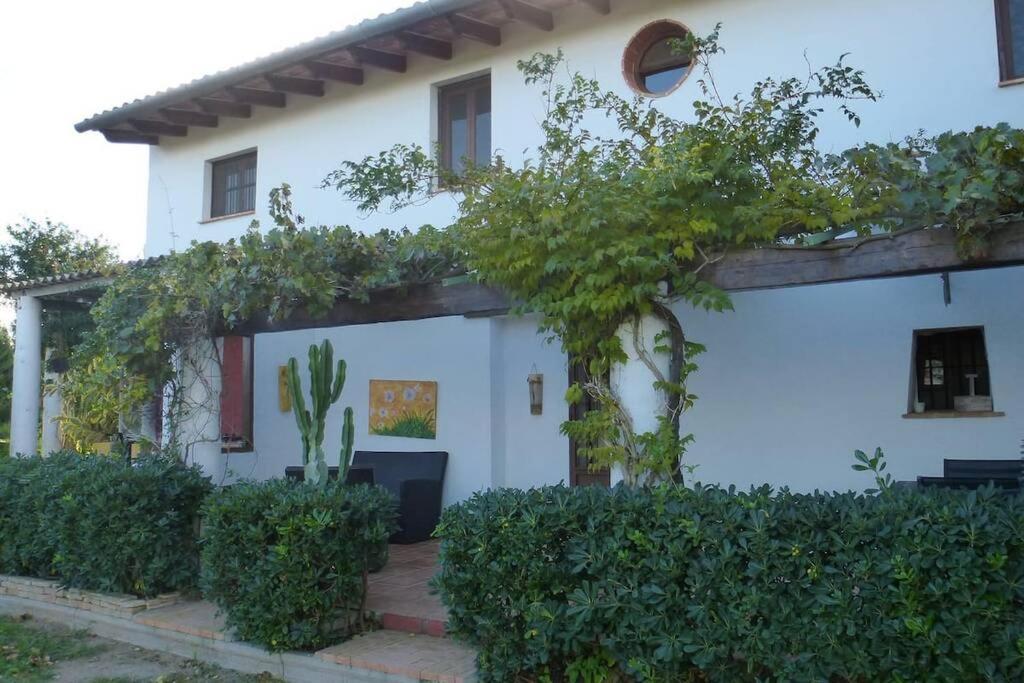 Villa Cortijo Con Encanto Cullera Exterior foto
