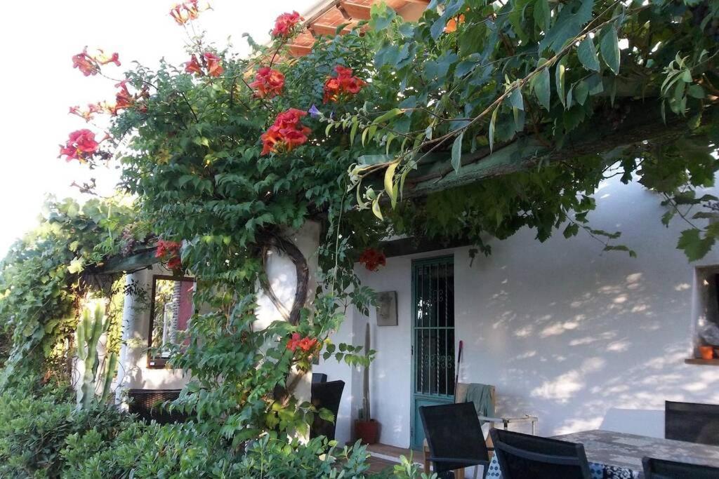 Villa Cortijo Con Encanto Cullera Exterior foto
